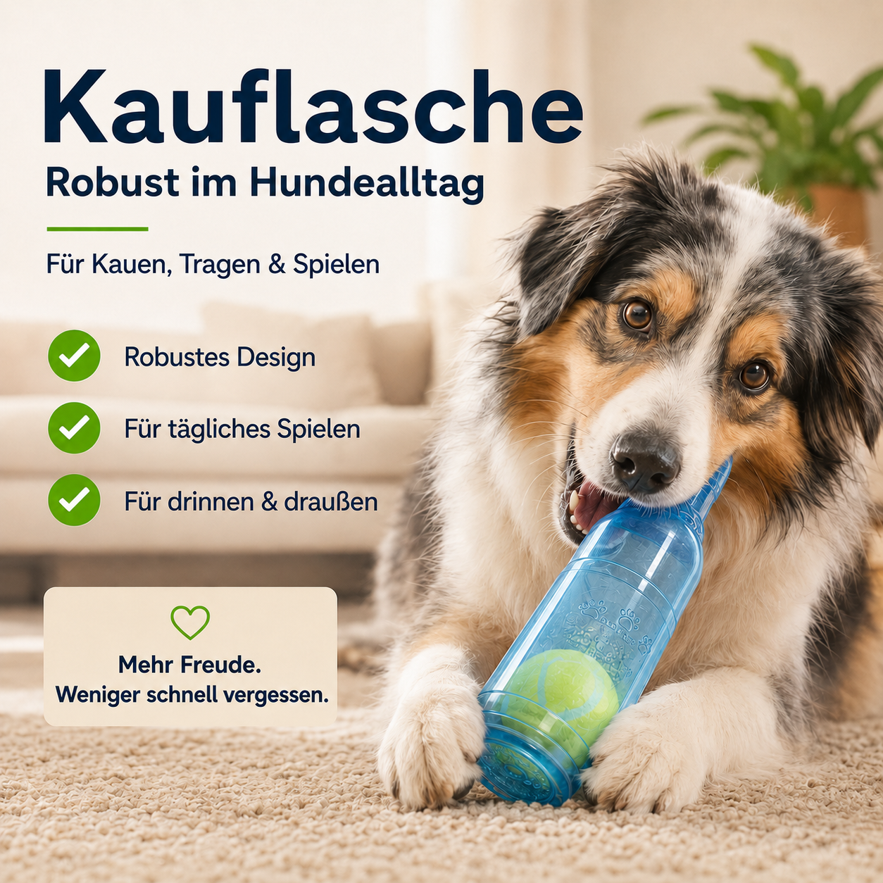 Kauflasche – länger beschäftigt statt schnell gelangweilt